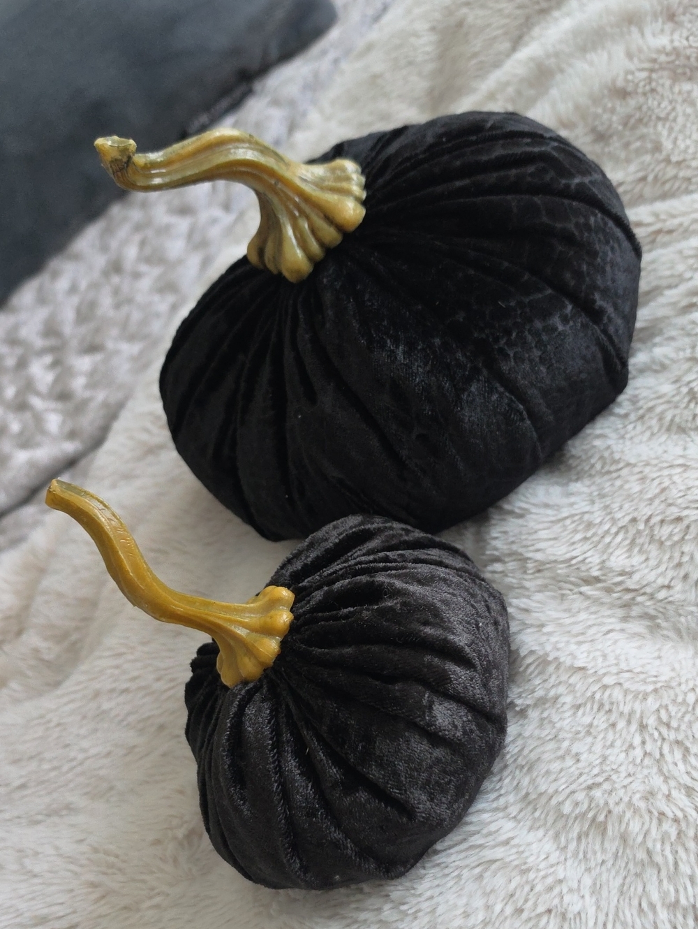 Black Velvet Decorative Pumpkins with Gold Stem - Home Accents